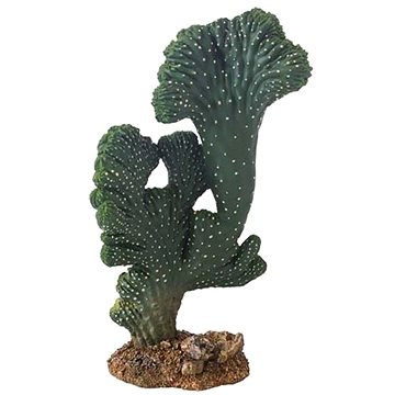 Hobby Kaktus Victoria 22 cm (4011444370204)