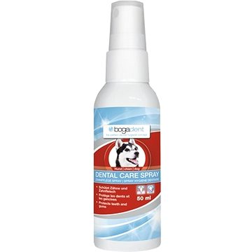 Bogadent Dental Care Spray 50 ml (7640118832686)