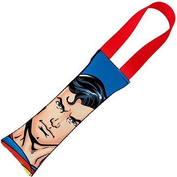 Buckle Down hračka pro psy Superman odolná házecí 38 cm (190882665708)