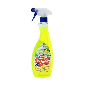 SGRASSA E Brilla Completo 750 ml (8002295001726)
