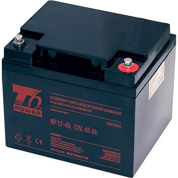 T6 Power NP12-45, 12 V, 45 Ah