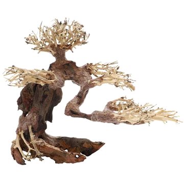 Dupla Bonsai M přírodní dřevěná dekorace 30 × 15 × 23 cm (D79013)