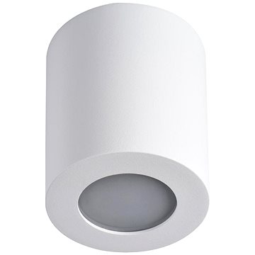 Koupelnové stropní svítidlo SANI 1xGU10/10W/230V IP44 bílá (106750)