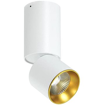 LED Stropní bodové svítidlo LED/10W/230V (91988)
