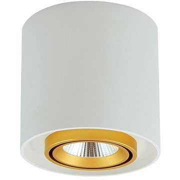 LED Bodové svítidlo XENO LED/10W/230V bílá 800lm (107284)