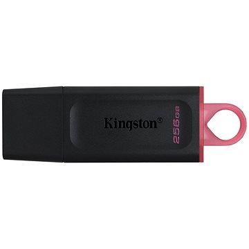 Kingston DataTraveler Exodia 256GB (DTX/256GB)