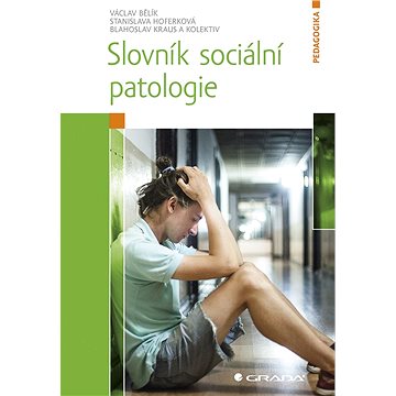 Slovník sociální patologie (978-80-271-0599-1)