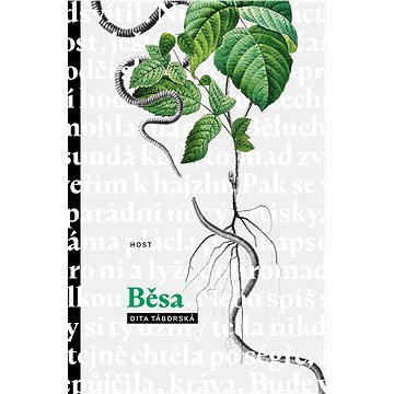 Běsa (978-80-757-7583-2)