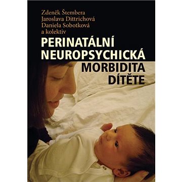 Perinatální neuropsychická morbidita dítěte (9788024627243)