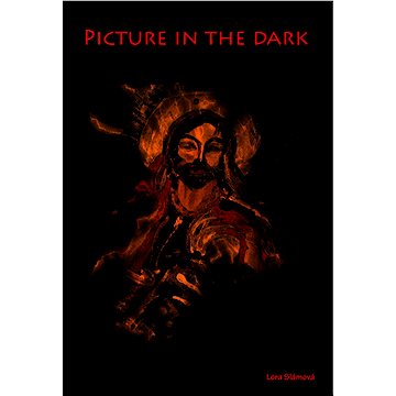 Picture in the dark (978-80-753-9004-2)