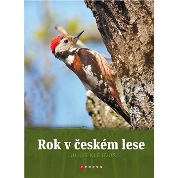 Rok v českém lese (978-80-264-3511-2)