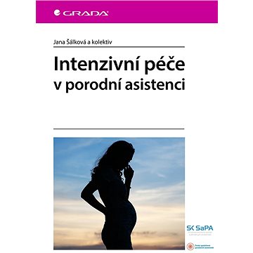 Intenzivní péče v porodní asistenci (978-80-271-0844-2)