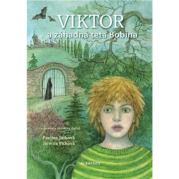 Viktor a záhadná teta Bobina (978-80-000-6804-6)