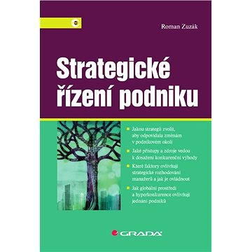 Strategické řízení podniku (978-80-247-4008-9)