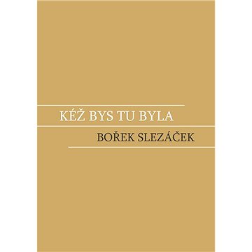 Kéž bys tu byla (978-80-265-1088-8)