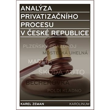 Analýza privatizačního procesu v České republice (9788024633114)