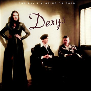 Dexys: One Day I'm Going To Soar (2x LP) - LP (4050538776249)