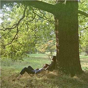 Lennon John: Plastic Ono Band (2x LP) - LP (0735454)