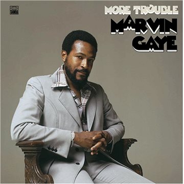 Gaye Marvin: More Trouble - LP (0848792)