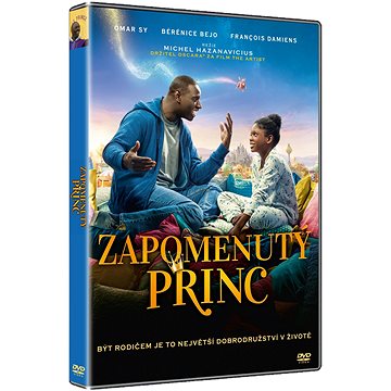 Zapomenutý princ - DVD (20004M)