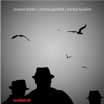 Müller Richard: Sociální síť - LP (4756710)