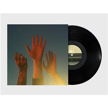 Boygenius: The Record - LP (5506607)
