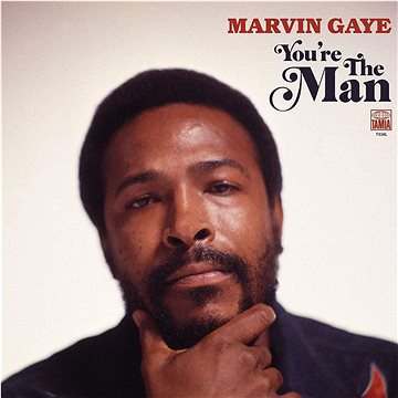 Gaye Marvin: You're The Man (2019) - CD (7758401)