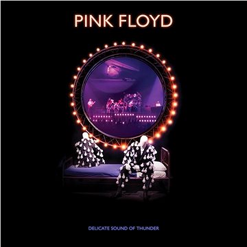 Pink Floyd: Delicate Sound Of Thunder - DVD (9029521594)