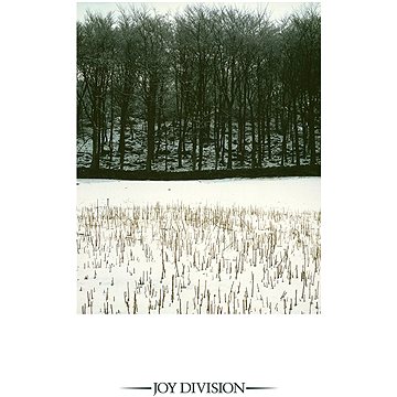 Joy Division: Atmosphere - LP (9029527460)