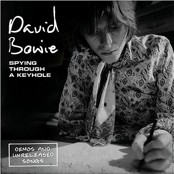 Bowie David: Spying Through A Keyhole (4x LP) - LP (9029549508)