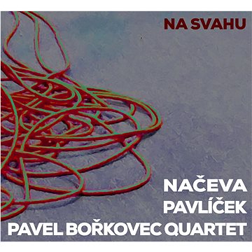 Načeva Monika, Pavlíček Michal, Borko Pavel: Na svahu - CD (9029594143)