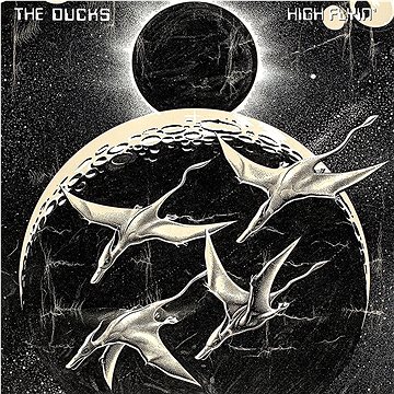 Ducks: High Flyin' (2xCD) - CD (9362488505)