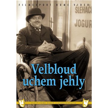 Velbloud uchem jehly - DVD (9517)