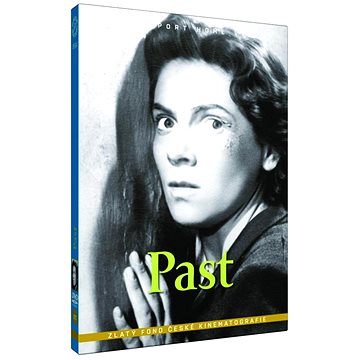 Past - DVD (9554)