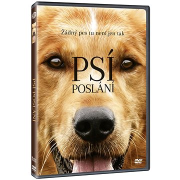 Psí poslání - DVD (N02030)
