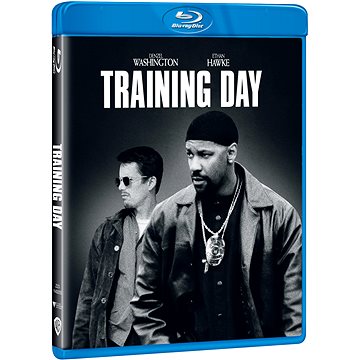 Training Day - Blu-ray (W02522)