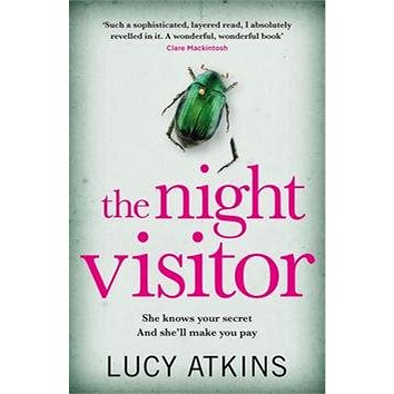 The Night Visitor (1786482185)