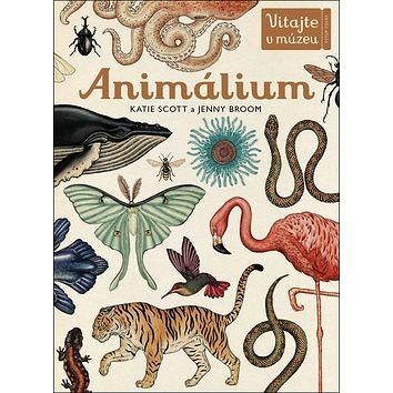 Animálium: Preskúmajte ríšu zvierat v celej jej nádhere! (978-80-8109-353-1)
