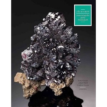Jáchymov: Mineralogická perla Krušnohoří (978-80-200-2931-7)