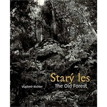 Starý les / The Old Forest (978-80-7437-284-1)