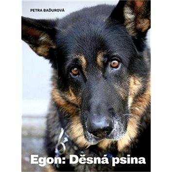 Egon: Děsná psina (978-80-86652-66-5)