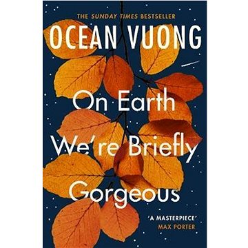 On Earth We're Briefly Gorgeous (1529110688)