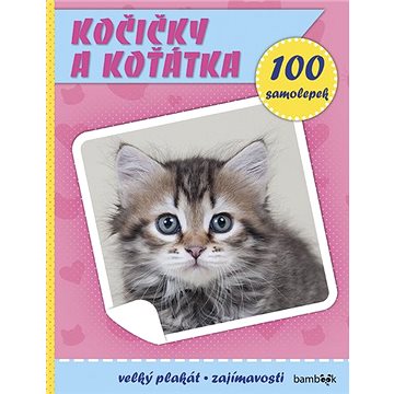 Kočičky a koťátka: Plakát a 100 samolepek (859-404-924-060-9)