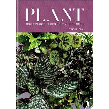 Plant: House plants: choosing, styling, caring (1784726745)