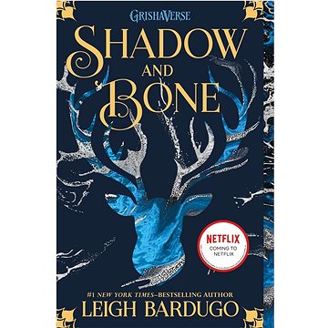 Shadow and Bone (1250027438)