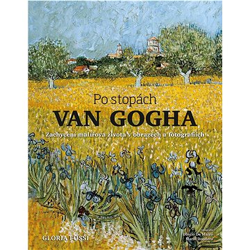 Po stopách Van Gogha: Zachycení malířova života v obrazech a fotografiích (978-80-264-3942-4)