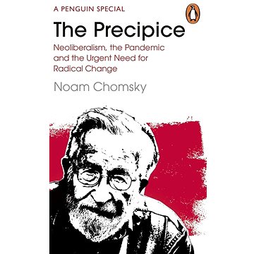 The Precipice: Neoliberalism, the Pandemic and the Urgent Need for Radical Change (0241993938)