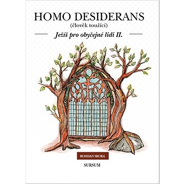 Homo desiderans: Ježíš pro obyčejné lidi II. (978-80-7323-376-1)