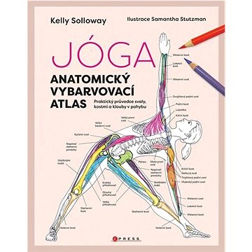 Jóga Anatomický vybarvovací atlas: Praktický průvodce svaly, kostmi a klouby v pohybu (978-80-264-4378-0)