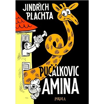 Pučálkovic Amina (978-80-242-8745-4)